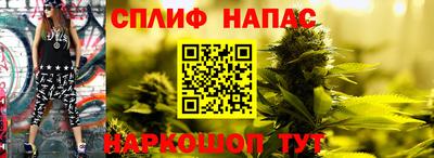 ешки Тара