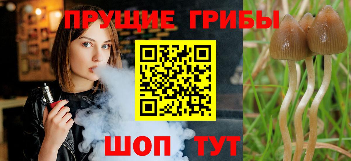 Галлюциногенные грибы мухоморы  Галлюциногенные грибы ЛСД  Вход с VPN  Подольск 